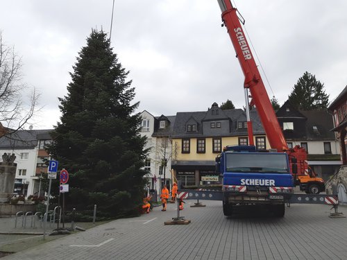 Aufstellen des Weihnachtsbaums auf dem Untermarkt