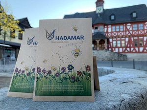 Drei Blühsamentütchen vor dem Rathaus in Hadamar