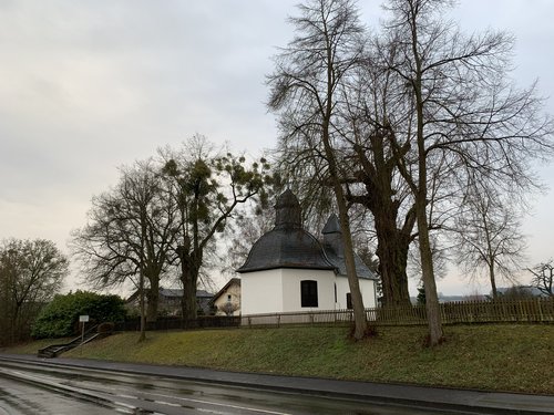 Die betroffenen zwei Linden befinden sich auf dem Foto links von der Kreuzkapelle in Niederzeuzheim 